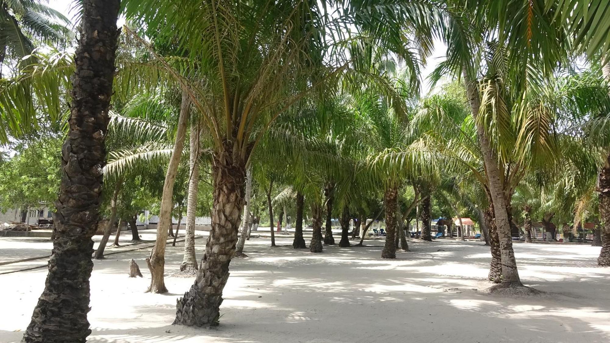 Paradise Island - Ouidah Екстериор снимка